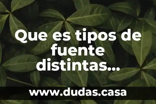 Que es tipos de fuente distintas execel