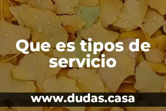 Que es tipos de servicio