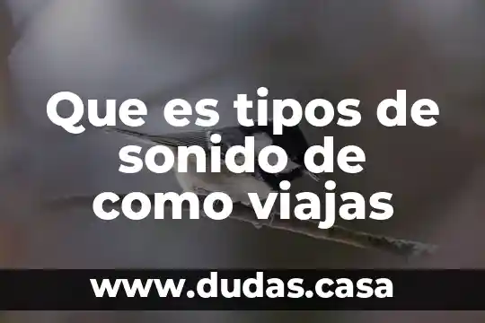 Que es tipos de sonido de como viajas