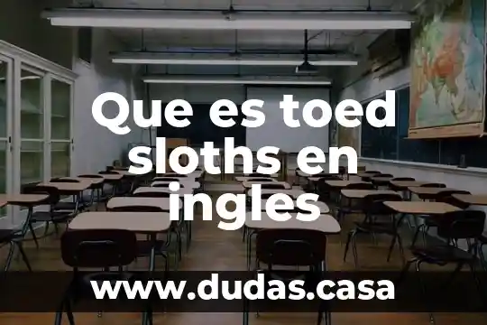 Que es toed sloths en ingles