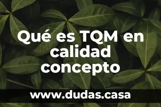 Qué es TQM en calidad concepto