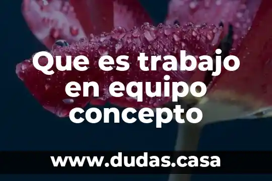 Que es trabajo en equipo concepto
