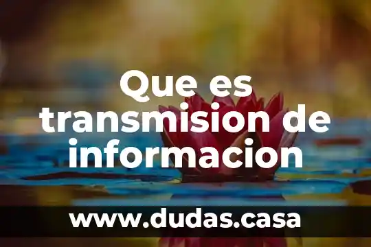 Que es transmision de informacion