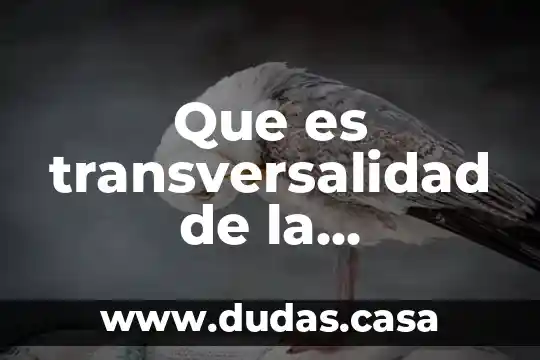 Que es transversalidad de la educación ambiental