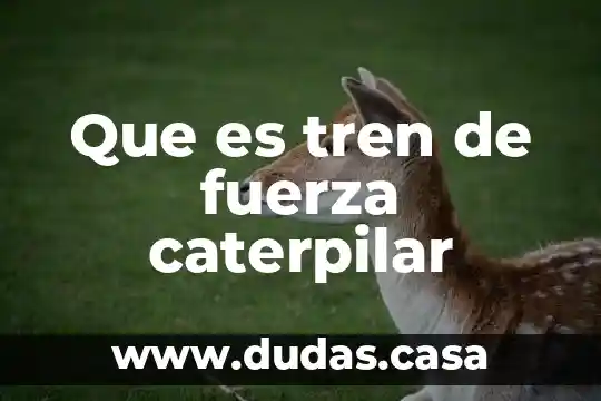 Que es tren de fuerza caterpilar