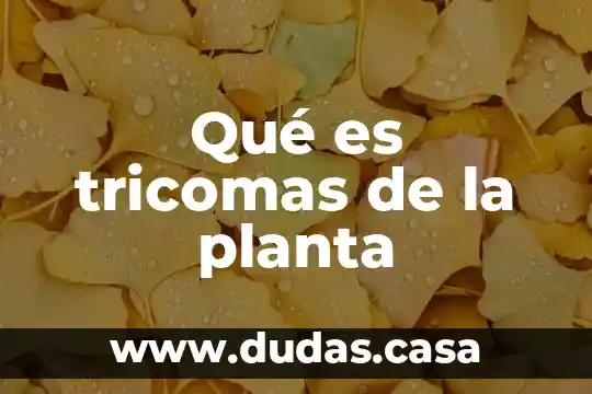 Qué es tricomas de la planta