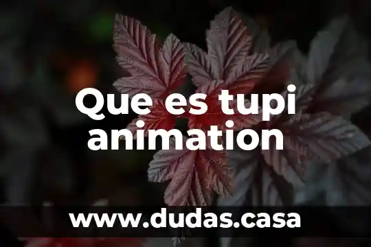 Que es tupi animation