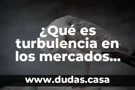¿Qué es turbulencia en los mercados financieros?