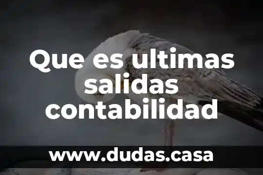 Que es ultimas salidas contabilidad