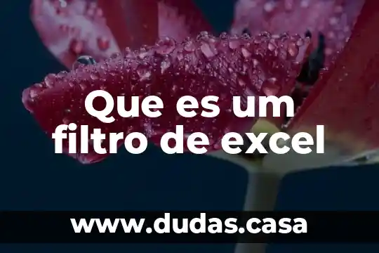 Que es um filtro de excel