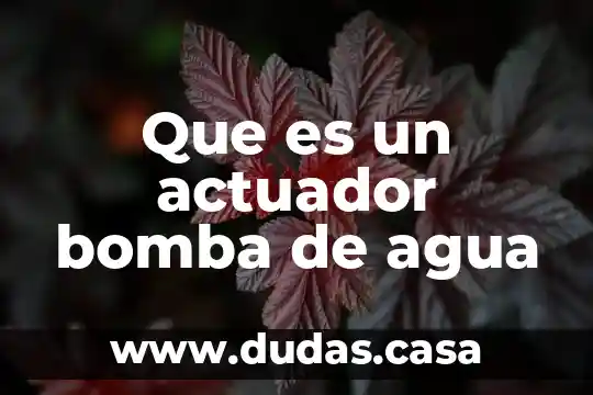 Que es un actuador bomba de agua