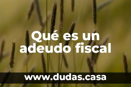 Qué es un adeudo fiscal