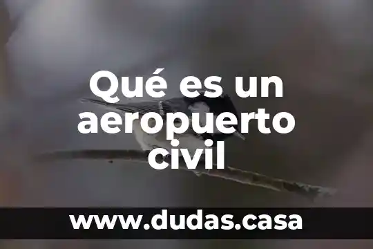 Qué es un aeropuerto civil