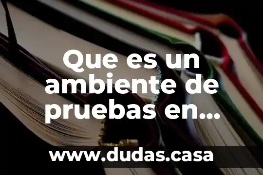 Que es un ambiente de pruebas en informatica
