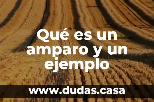 Qué es un amparo y un ejemplo