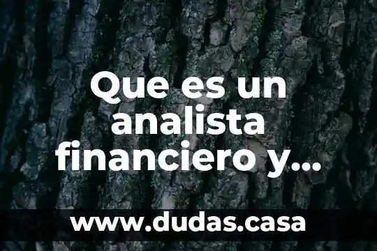 Que es un analista financiero y cuales son sus funciones