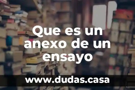 Que es un anexo de un ensayo