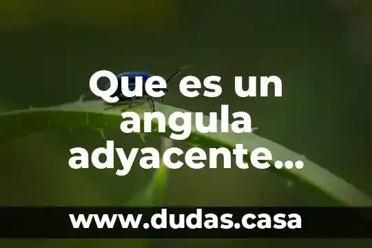 Que es un angula adyacente concepto breve y claro
