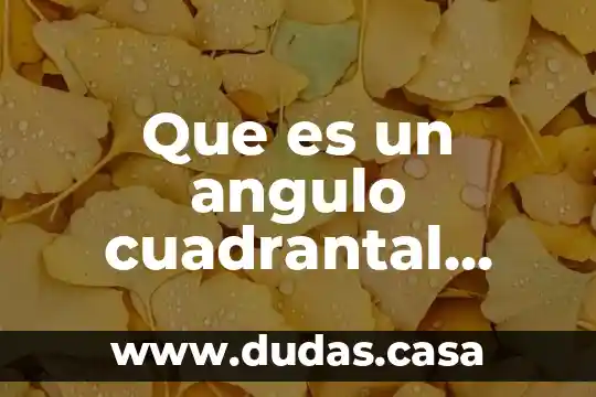 Que es un angulo cuadrantal cuales son sus coterminales