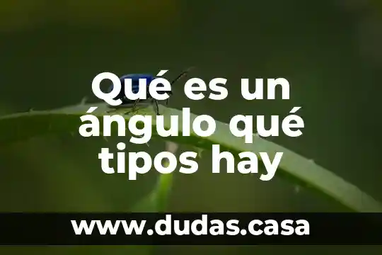 Qué es un ángulo qué tipos hay