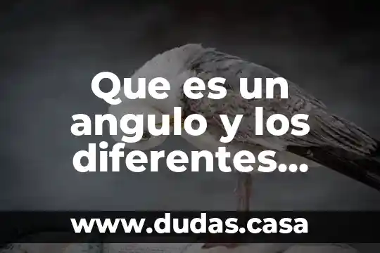 Que es un angulo y los diferentes tipos de angulos