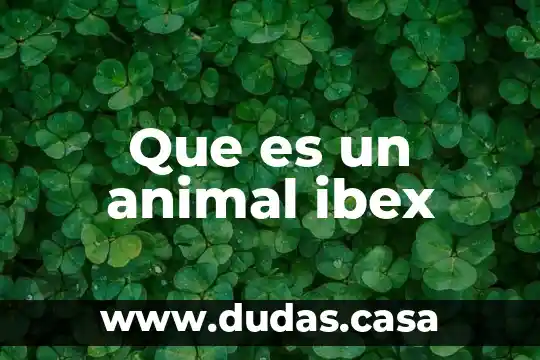 Que es un animal ibex