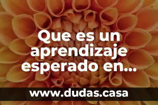 Que es un aprendizaje esperado en educacion preescolar