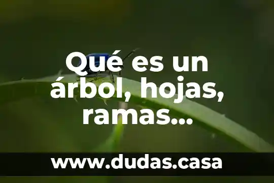 Qué es un árbol, hojas, ramas, matemáticas discretas