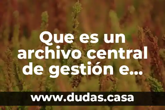 Que es un archivo central de gestión e histórico