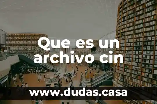 Que es un archivo cin