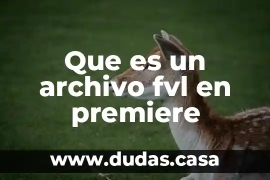 Que es un archivo fvl en premiere