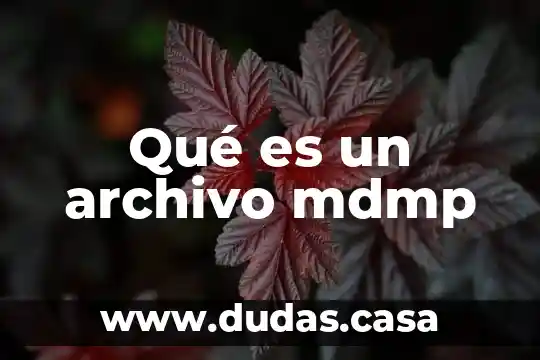 Qué es un archivo mdmp
