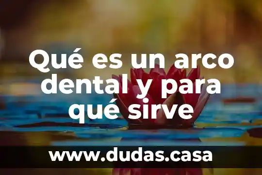 Qué es un arco dental y para qué sirve