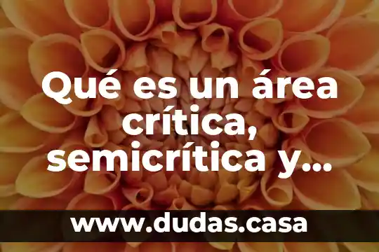 Qué es un área crítica, semicrítica y no crítica
