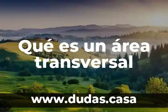 Qué es un área transversal