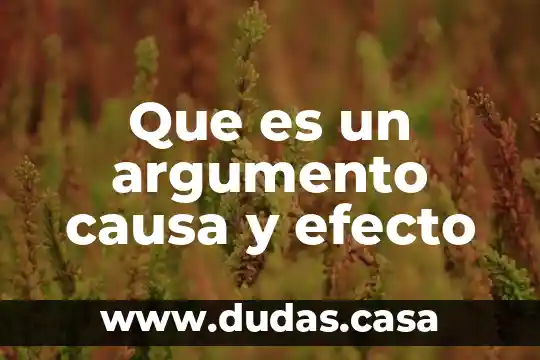 Que es un argumento causa y efecto