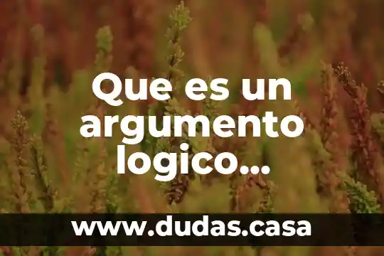 Que es un argumento logico ejemplos
