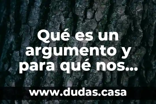 Qué es un argumento y para qué nos sirve