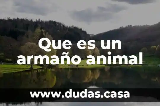 Que es un armaño animal