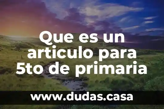 Que es un articulo para 5to de primaria