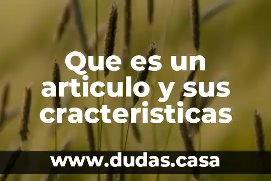 Que es un articulo y sus cracteristicas