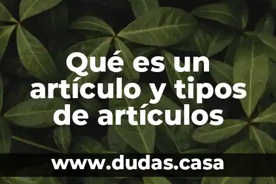 Qué es un artículo y tipos de artículos