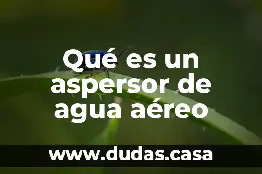 Qué es un aspersor de agua aéreo