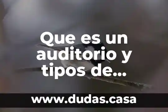 Que es un auditorio y tipos de auditorio