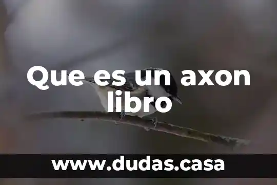 Que es un axon libro