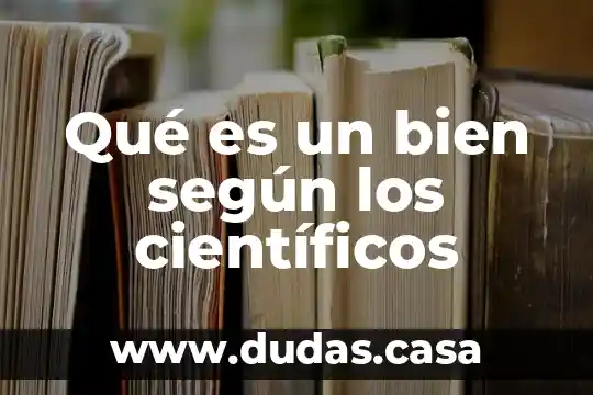 Qué es un bien según los científicos
