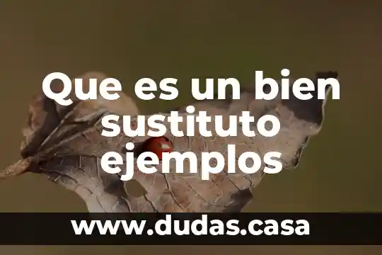 Que es un bien sustituto ejemplos