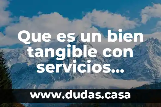 Que es un bien tangible con servicios adicionales