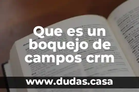 Que es un boquejo de campos crm
