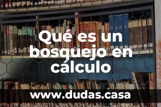 Qué es un bosquejo en cálculo